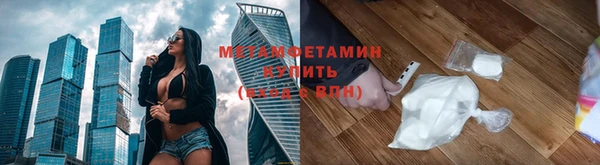 прущие грибы Тында