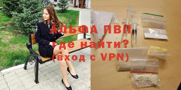 PSILOCYBIN Белокуриха