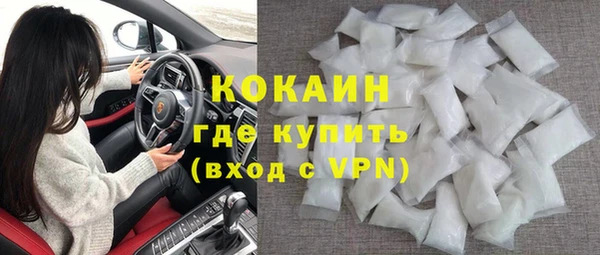 индика Туринск