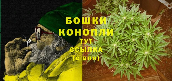 PSILOCYBIN Белокуриха