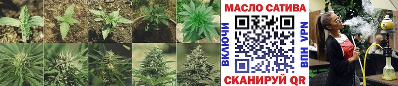KRAKEN зеркало  Кохма  ТГК вейп 